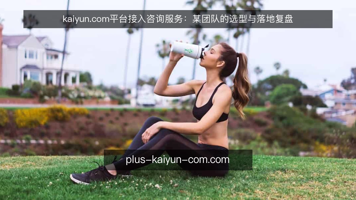 kaiyun.com平台接入咨询服务：某团队的选型与落地复盘