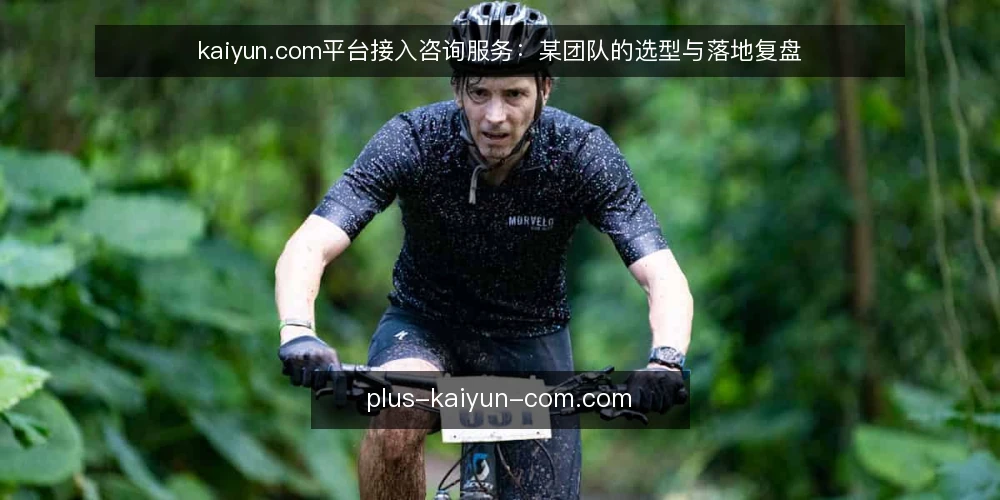 kaiyun.com平台接入咨询服务：某团队的选型与落地复盘 — 场景：信息分散带来的接入困扰 配图