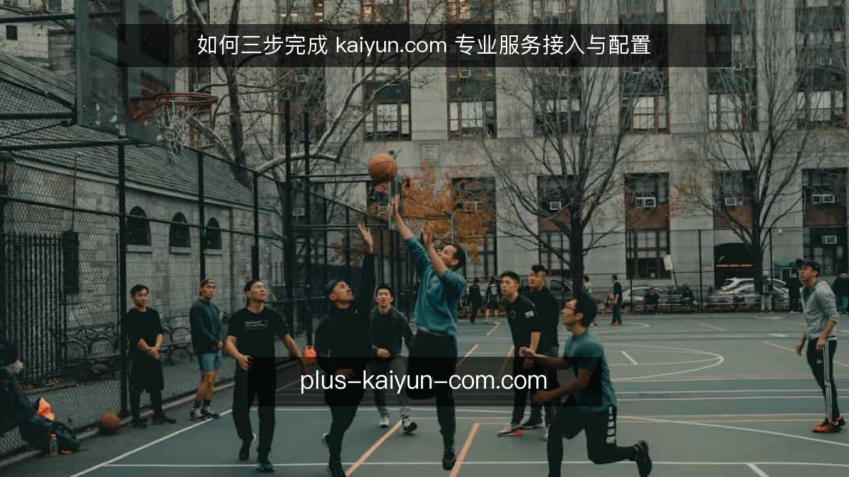 如何三步完成 kaiyun.com 专业服务接入与配置