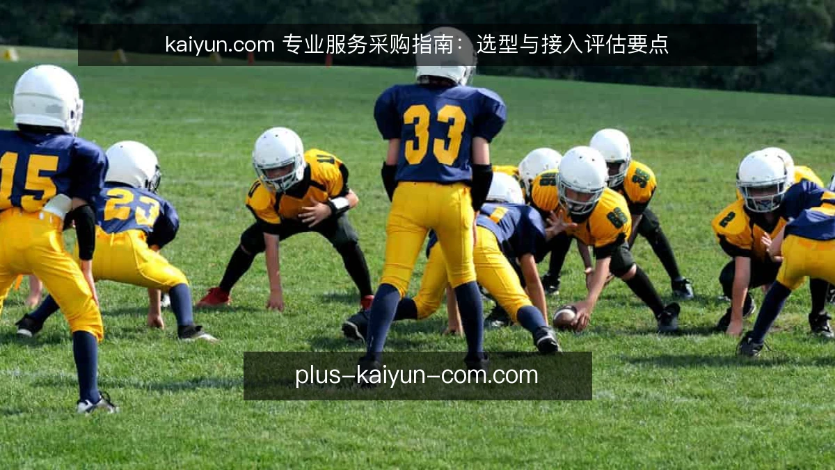 kaiyun.com 专业服务采购指南：选型与接入评估要点
