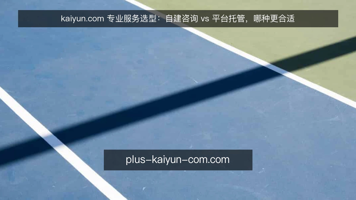 kaiyun.com 专业服务选型：自建咨询 vs 平台托管，哪种更合适