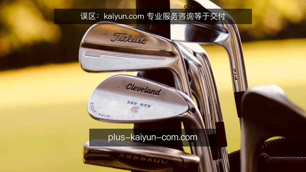 误区：kaiyun.com 专业服务咨询等于交付