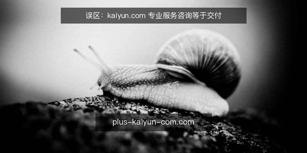 误区：kaiyun.com 专业服务咨询等于交付 — 误区一：咨询就是交付 配图