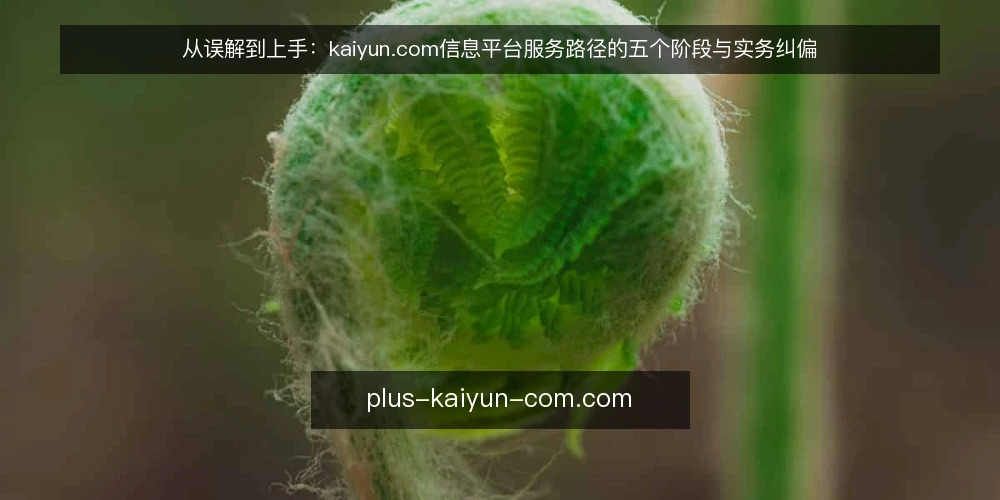 从误解到上手：kaiyun.com信息平台服务路径的五个阶段与实务纠偏 — 误区一：信息平台等于自动解决方案 配图