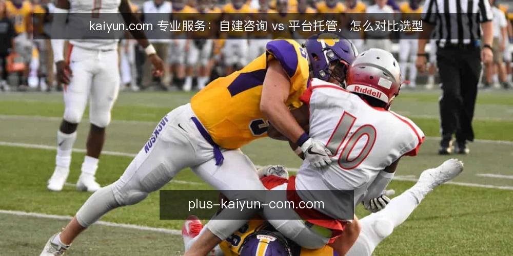 kaiyun.com 专业服务：自建咨询 vs 平台托管，怎么对比选型 — 为什么现在要做一次选型审计 配图