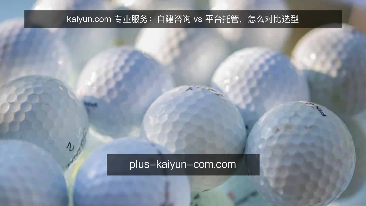 kaiyun.com 专业服务：自建咨询 vs 平台托管，怎么对比选型